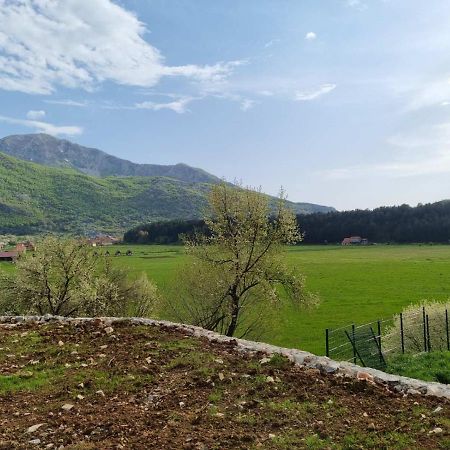 Porto Njegusi A2 Apartman Cetinje Kültér fotó